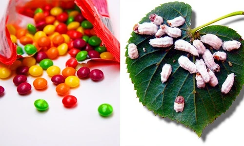 Sự thật bất ngờ về những thực phẩm chúng ta thường ăn