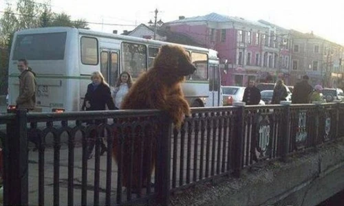 Ảnh độc chỉ có ở Nga (37)