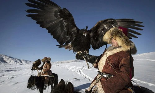 Xem người Kazakh đi săn tập thể với đại bàng