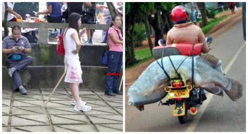 Ảnh độc chỉ có ở châu Á (10)