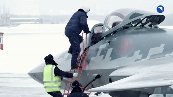 Loại chiến đấu cơ này được phủ vật liệu hấp thụ sóng radar và có thiết kế tối ưu cho khả năng tàng hình trước thiết bị trinh sát điện tử của đối phương.