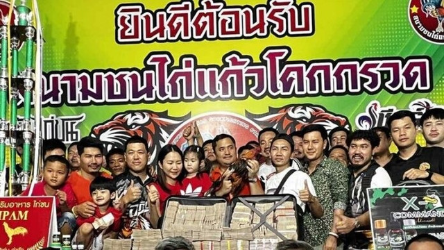 Chú gà gọi giành giải thưởng hơn 100 tỷ đồng. Ảnh: Khaosod ga-choi1.jpg