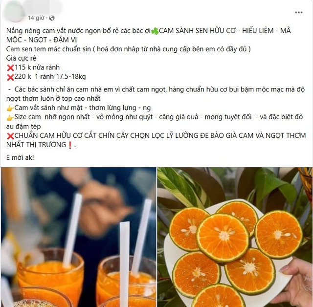 Cam sành sen giá rẻ bán đầy chợ mạng. Ảnh chụp màn hình cam-sanh1.jpg