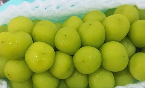 Nho sữa Trung Quốc rớt giá chỉ 15.000 đồng/kg. anh-nho-sua.jpg