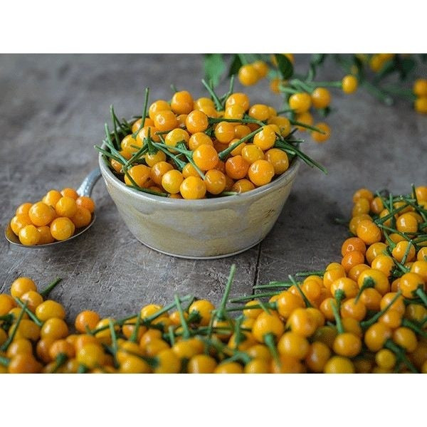 Độ cay của ớt Peru lên tới 30.000 đến 50.000 độ cay Scolville, thậm chí còn cao gấp 4-20 lần ớt jalapeño nổi tiếng. Thậm chí, độ cay này có thể "làm thủng" lưỡi, được khuyến cáo không nên ăn tươi. Ảnh: Six Mile Supply ot-peru7.jpg