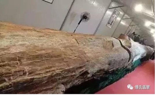Cây gỗ hóa ngọc trị giá hơn 600 tỷ đồng. Ảnh: Sohu khuc-go2.jpg
