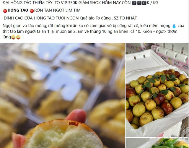 Hồng táo tươi đầu mùa giá đắt. Ảnh chụp màn hình hong-tao1.jpg