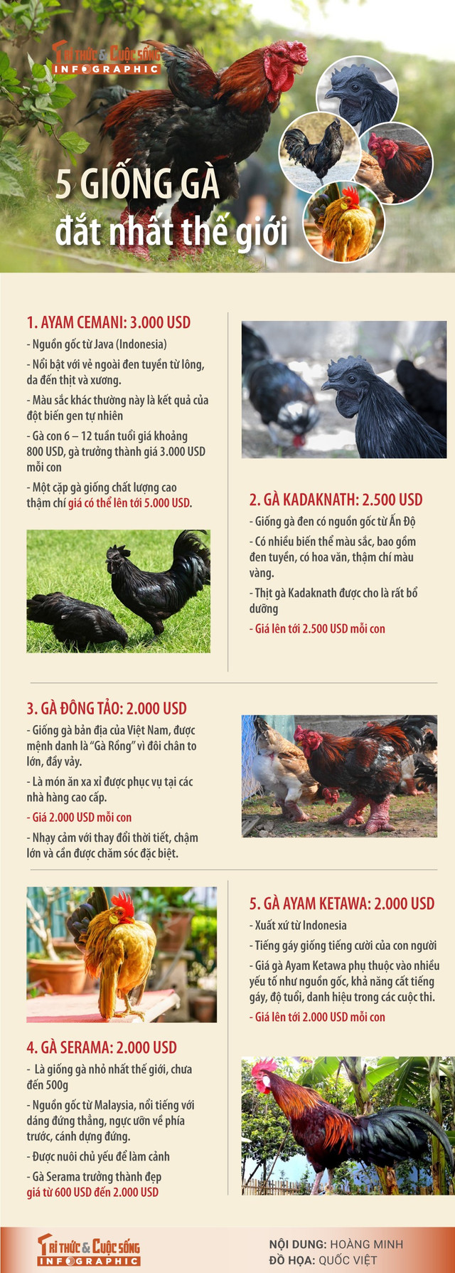 5-giong-ga-dat-nhat-the-gioi.jpg