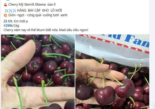 Cherry Mỹ giá rẻ đang đổ bộ thị trường Việt. Ảnh chụp màn hình cherry1.jpg