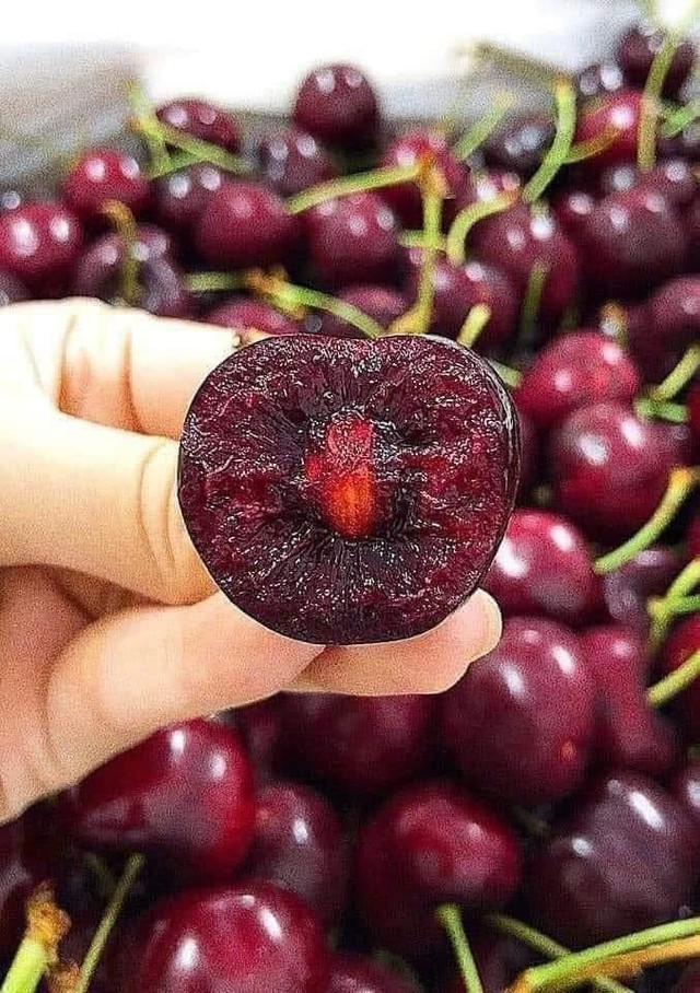 Cherry Mỹ mọng nước. Ảnh: Facebook cherry2.jpg