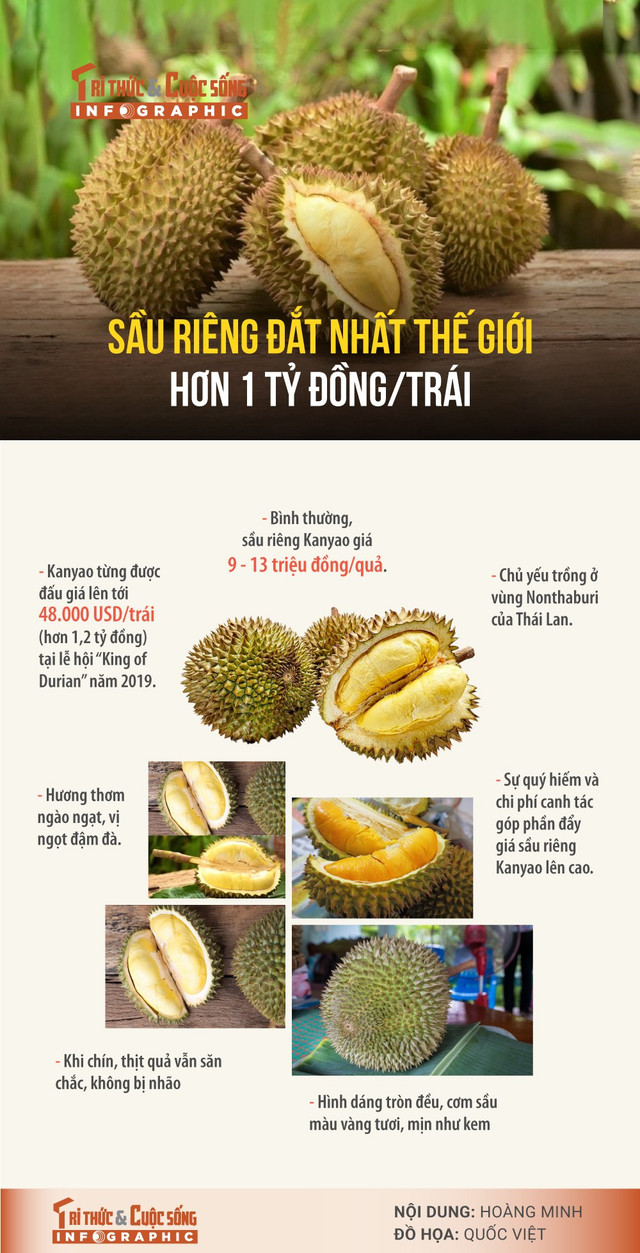 sau-rieng-dat-nhat.jpg