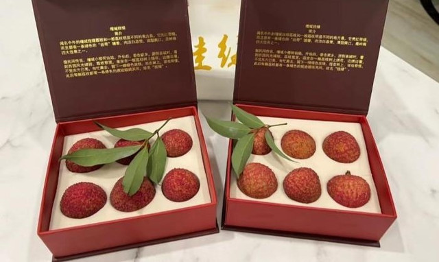 Vải thiều gia lục là đặc sản ví như "bảo vật" ở Tăng Thành. Ảnh: Thepaper vai-thieu2.jpg