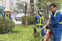 Đồng Nai: Hợp tác xã môi trường Trúc Anh vượt hai "ông lớn" trúng gói thầu hơn 12 tỷ đồng