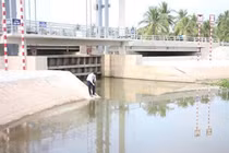 Ba nhà thầu cạnh tranh tại gói thầu cống Giồng Trôm, ưu thế nghiêng về giá