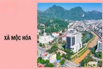 Xã Mộc Hóa: Hai nhà thầu nội tỉnh "so găng" tại gói thầu láng nhựa đường KT3 