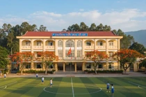 Cà Mau: Công ty Mekong được chỉ định gói thầu tiền tỷ tại Phường Hiệp Thành