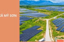 Khánh Hòa: Gói thầu Xây dựng cầu dân sinh Phú Thuận về tay Công ty Phước Nam 