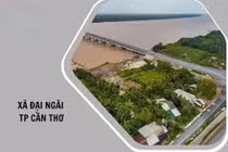 Đại Ngãi: Hai nhà thầu địa phương cạnh tranh gói xây dựng lộ giao thông