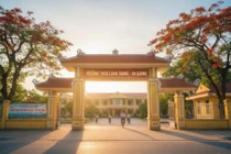 Gói thầu 19,9 tỷ ở An Giang: 7/8 nhà thầu bị loại vì sao?