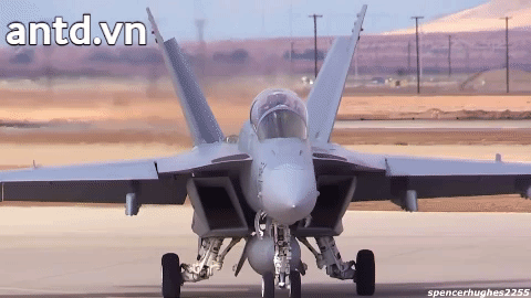 So với F/A-18 Hornet thì phiên bản F/A-18E/F Super Hornet có kích thước to lớn hơn 20%.