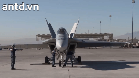 F/A-18E/F Super Hornet được Hải quân Mỹ đặt mua của hãng McDonnell Douglas vào năm 1992, nó bay lần đầu tiên vào tháng 11 năm 1995, hạ cánh lần đầu tiên trên tàu sân bay vào năm 1997 và đi vào hoạt động chính thức vào năm 1999, thay thế cho tiêm kích hạm F-14 Tomcat.