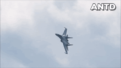 Tổng giám đốc Tổng công ty xuất nhập khẩu vũ khí nhà nước Nga Rosoboronexport - ông Alexander Mikheev cho biết, tại Diễn đàn Army-2020, đơn vị dự kiến sẽ ký kết hợp đồng cung cấp tiêm kích đa năng Su-35 với tổng trị giá khoảng 7 tỷ USD.