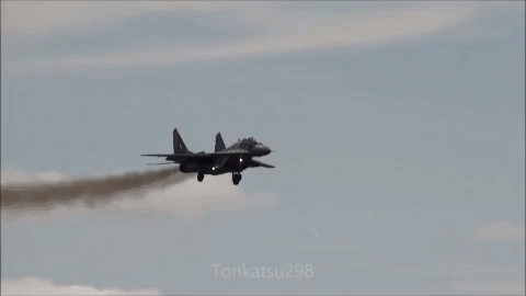 Ba Lan lúc đó chuẩn bị chuyển một chuyến hàng gồm các bộ phận của một tiêm kích MiG-29 gần hoàn chỉnh, được đóng trong nhiều thùng hàng để đưa bằng máy bay tới Syria.