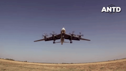 Có lẽ Tu-95 là loại máy bay của Nga có nhiều cơ hội tiếp cận với các dòng chiến đấu cơ của phương Tây nhất. Kể từ khi chúng ra đời cho đến nay, hàng chục dòng chiến đấu cơ các loại của NATO đã được điều lên để bay hộ tống chiếc máy bay này, mỗi khi bị nó áp sát không phận.