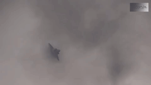 36 tấn bom được các tiêm kích F-35 và F-15 trút xuống đã phá hủy gần như toàn bộ cây cối trên đảo và tiêu diệt 25 tay súng IS, theo Sabah Al-Numaan, phát ngôn viên CTS.