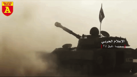 Bên cạnh các nhóm dân quân Hồi giáo, chính phủ Syria còn ủy quyền cho các doanh nhân người Alawis trung thành với Tổng thống Bashar al-Assad xây dựng lực lượng vũ trang tư nhân với trang bị và tiền lương tốt hơn. 