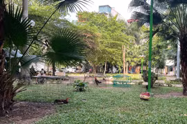 Biến vườn hoa công cộng thành nơi nhốt gà, kinh doanh ở Đống Đa
