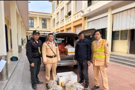 Phát hiện ô tô chở 12 cá thể tê tê trong thùng xốp ở Cao Bằng
