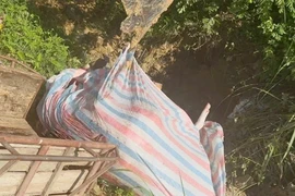 Hai người dân ở Phú Thọ mua bán 7 con lợn nhiễm dịch tả châu Phi