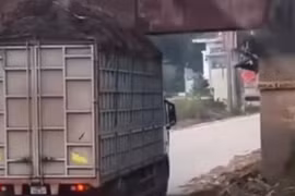 Dân gửi hình ảnh vi phạm, tài xế chở quá khổ bị CSGT xử phạt 