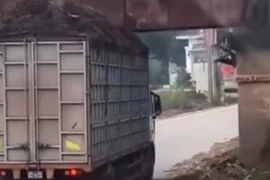 Dân gửi hình ảnh vi phạm, tài xế chở quá khổ bị CSGT xử phạt 