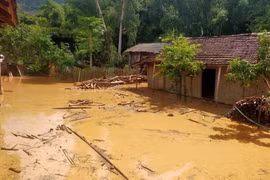 Thủ tướng chỉ đạo tập trung khắc phục hậu quả mưa lũ ở 3 tỉnh