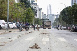 CSGT Hà Nội xử phạt 3 tài xế xe tải làm rơi vãi đất thải xuống đường 