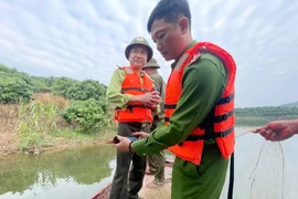 Công an Bắc Ninh sẽ xử lý nghiêm săn bắt chim trái phép