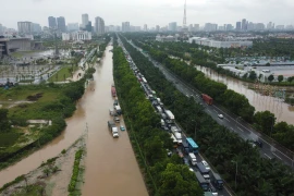 Bão số 5 đang di chuyển theo hướng Tây Tây Bắc. (Ảnh: NCHMF).