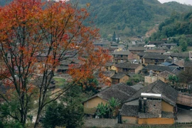 Giá cả ở "Lô Lô Chải đắt gấp 3 lần" là sai sự thật