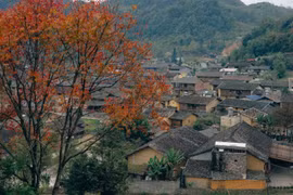 Giá cả ở "Lô Lô Chải đắt gấp 3 lần" là sai sự thật