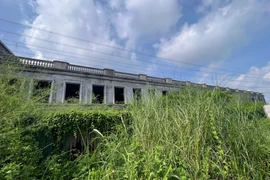 Cận cảnh công trình sát đường điện cao thế, cỏ mọc um tùm