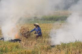 Phải dự báo sớm hiện tượng nghịch nhiệt để giảm nguồn phát thải