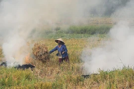 Phải dự báo sớm hiện tượng nghịch nhiệt để giảm nguồn phát thải