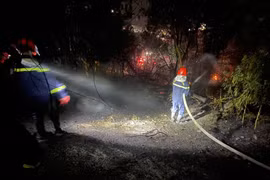 Nguy cơ cơ cháy rừng tại Bắc Ninh ở cấp nguy hiểm