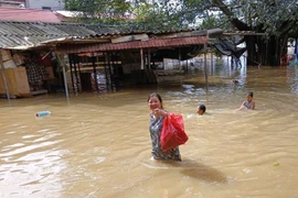 Bắc Ninh chỉ đạo đảm bảo an toàn cho người dân sống ngoài bãi sông