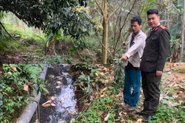 Chủ một cơ sở chăn nuôi bị phạt 107 triệu vì thải gây ô nhiễm môi trường