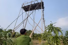 Công an Lào Cai xử lý nghiêm việc rao bán chim hoang dã trái phép