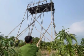 Công an Lào Cai xử lý nghiêm việc rao bán chim hoang dã trái phép