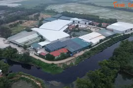 Một phường ở Bắc Ninh phát hiện hàng trăm vi phạm về đất đai